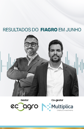 relatórioegaf11junho
